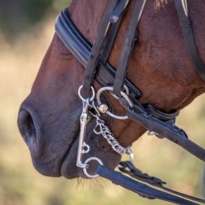Symphony Ooze Ru Hesteudstyr | Salg af billigt udstyr til heste og rideudstyr til heste  online