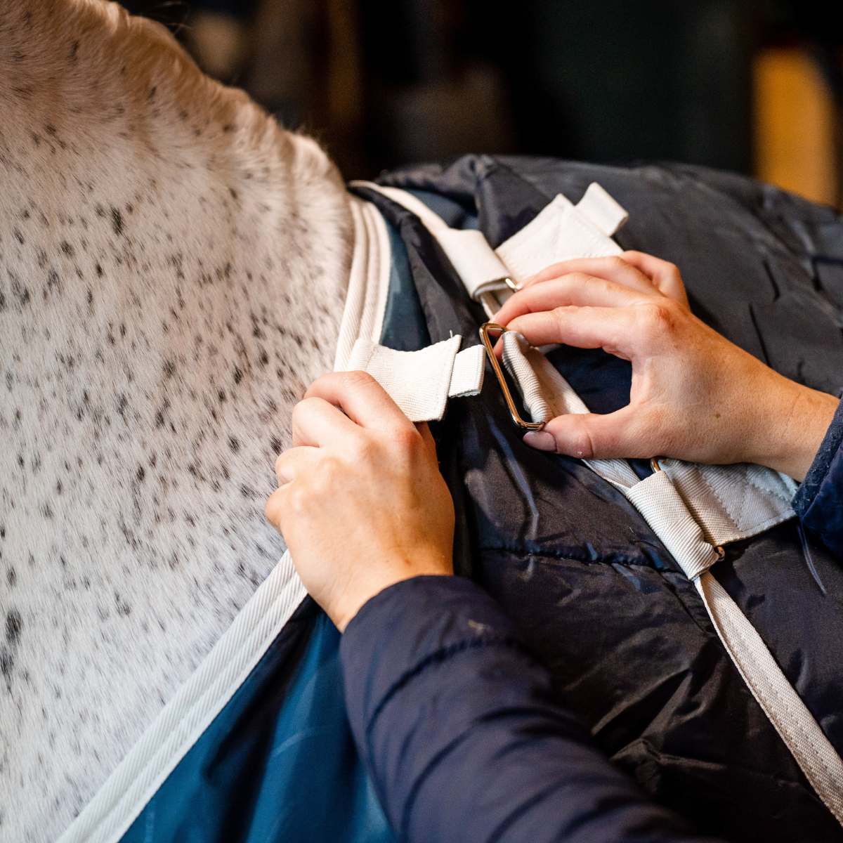 Horseware Eco liner på 100g passer til Rambo og Amigo